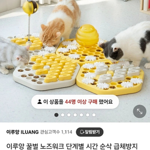 이루앙꿀벌노즈워크/고양이장난감/고양이급체방지