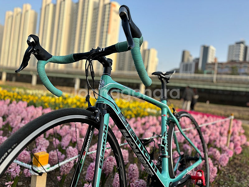 비앙키 인피니토cv급처합니다--1