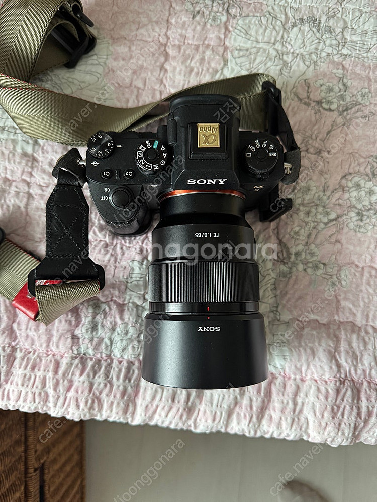 소니 A9 + 85.8 일괄 팔아봅니다--0