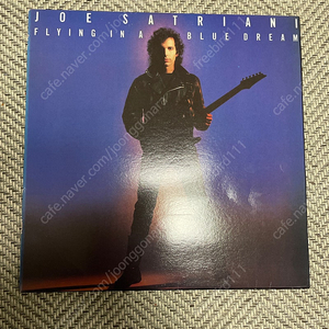 LP 조 세트리아니 Joe Satriani