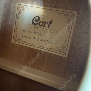 Cort 콜트 입문용 기타