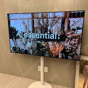 LG 올레드 65인치 TV + 빌티니 플랫화이트 L