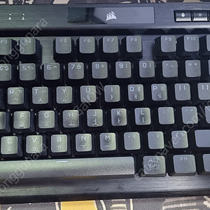 K70 RGB TKL 챔피온 시리즈 저소음 적축 팝니다