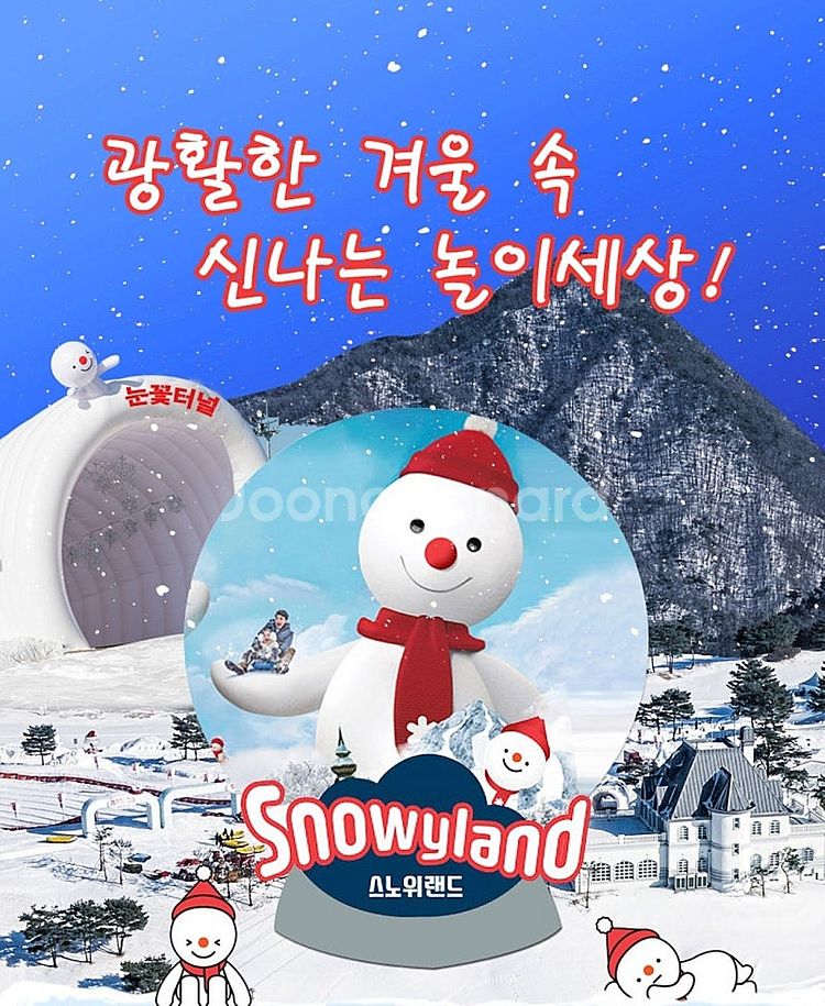 당일가능]비발디파크 스노위랜드 리프트 장비/의류렌탈 강...--0