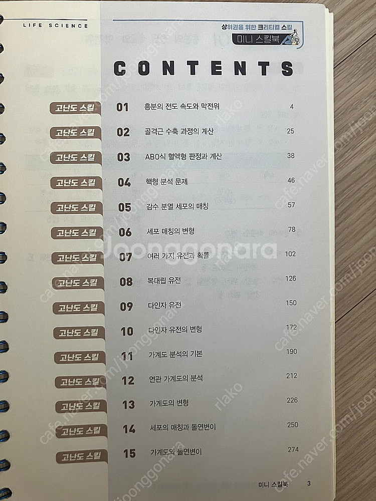 백호 2023 상크스--2