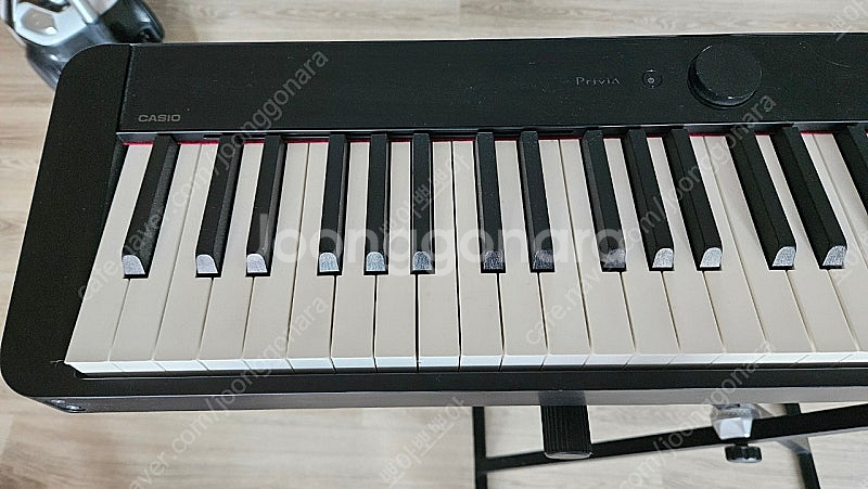 카시오 px s1000 판매--1