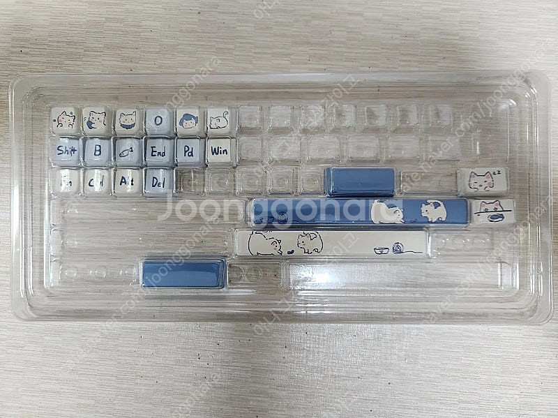 mda 프로필 염료승화 pbt 고양이 키캡--2