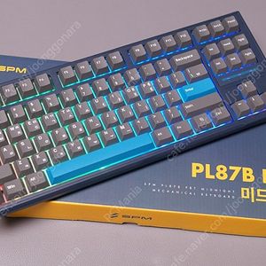 기계식키보드(G PRO X TKL, STREAK80, AK99, PL87B)