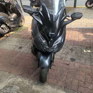 포르자350cc 22년식팝니다