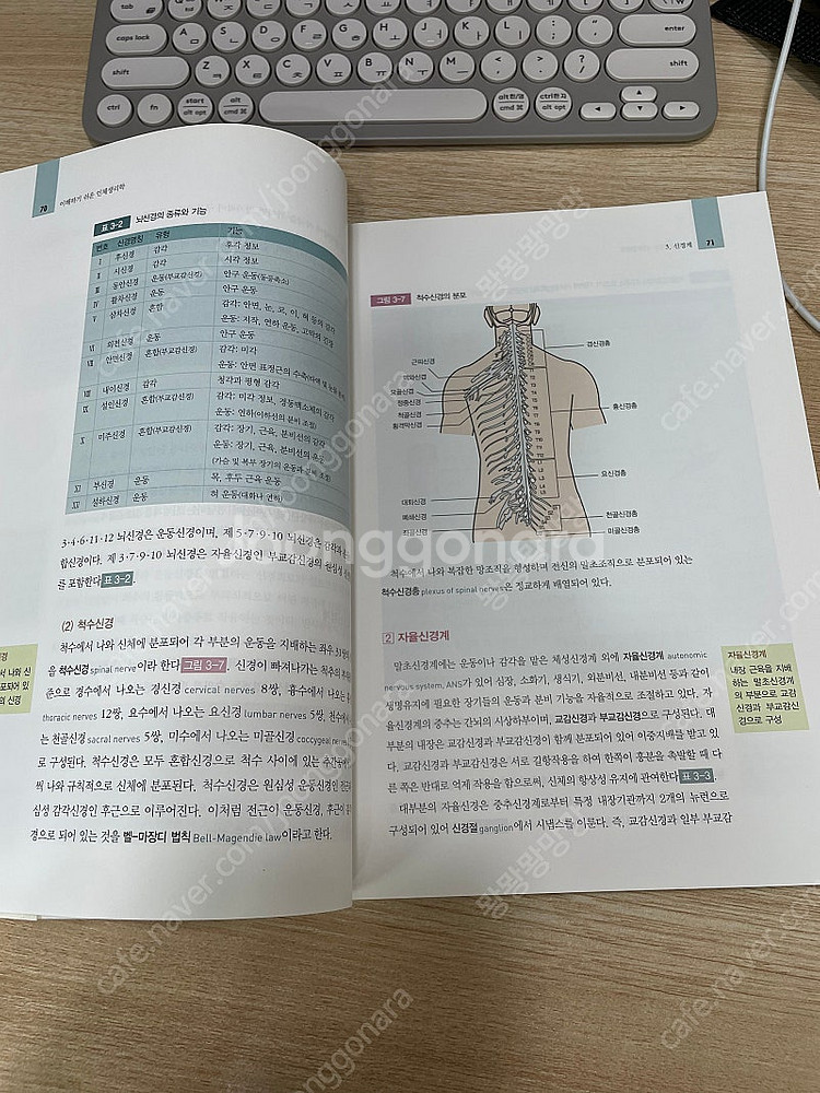 파워북 인체생리학--2