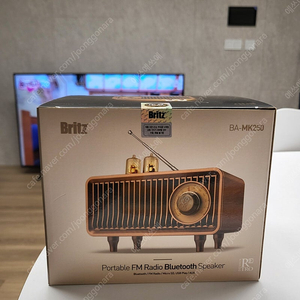 브리츠 BA-MK250 휴대용 블루투스 스피커