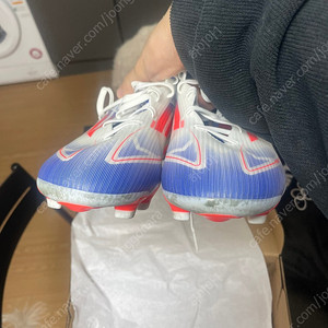 아디다스 f50 pro mg