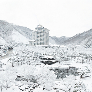 (설 연휴) 강촌 엘리시안 가실분