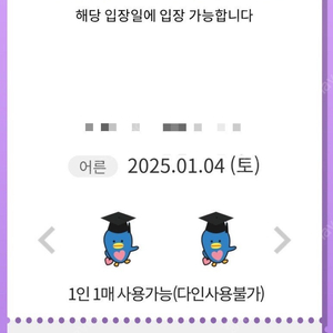 롯데월드 매직패스 5회권(01월 04일 토요일)