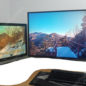 DELL 43인치 4K 모니터 P4317Q 판매합니다.