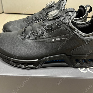 ECCO M GOLF BIOM C4 (에코 골프화)