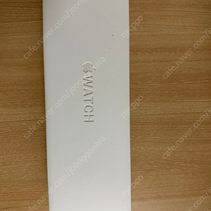 애플워치10 내츄럴티타늄 46mm 핍니다