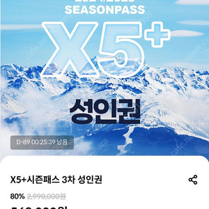 X5시즌권양도