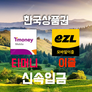 티머니(모바일티머니) 이즐(모바일이즐) 매입니다.