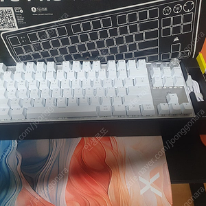 k70 tkl mgx 화이트 택포 18만