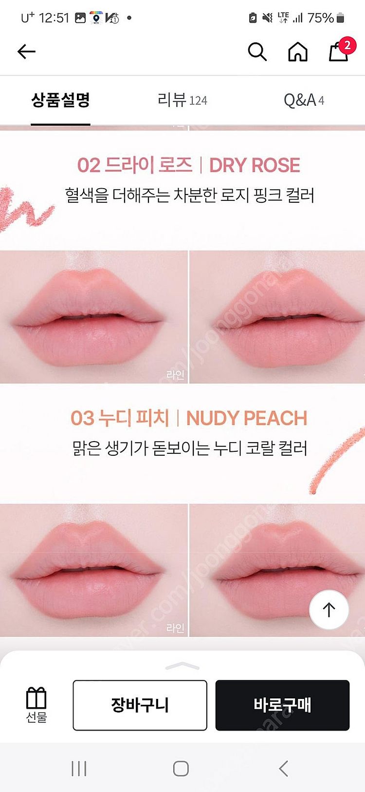 데이지크 블러셔+투에이엔 듀얼 블러셔+코스노리 오버립 ...--3