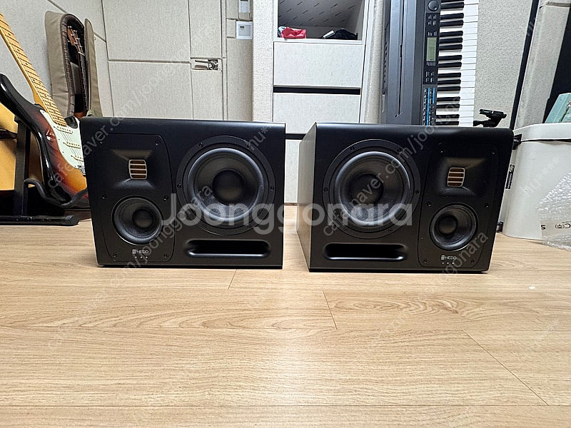 hedd type 20 mk2 (black) 판매합니다--0