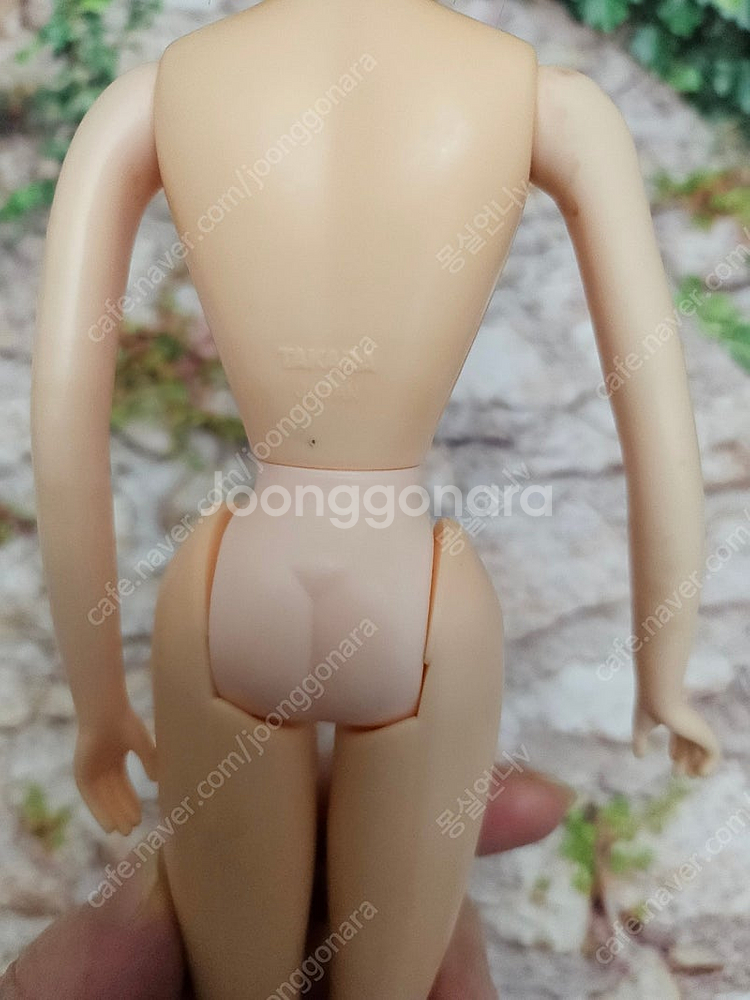 엑셀리나 제니인형 마린인형 리카캐슬--5