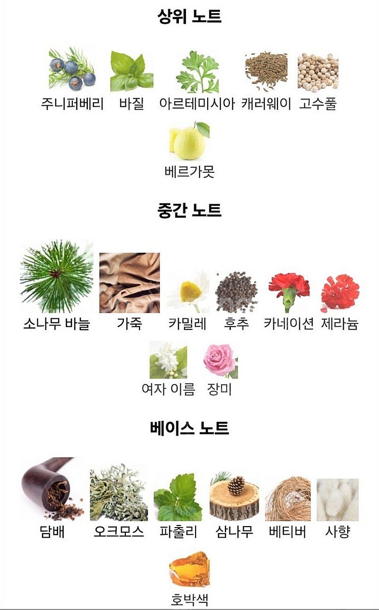 향수 폴로 그린 125ml--1