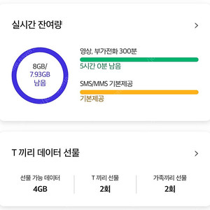 티데이터 2기가