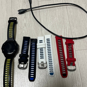 가민 포러너 265s 팝미다