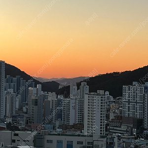 까사미아 가구 구매 임직원 할인 구해봅니다