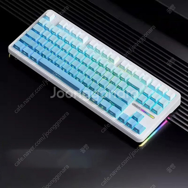 독거미 F87 PRO 화이트블루 측각--0