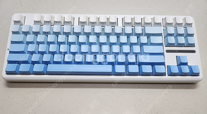 독거미 F87 PRO 화이트블루 측각--3