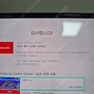 닌텐도 온라인 패밀리