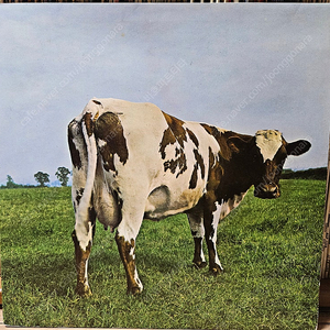 Pink Floyd Atom Heart Mother 영국 초반 LP 판매합니다