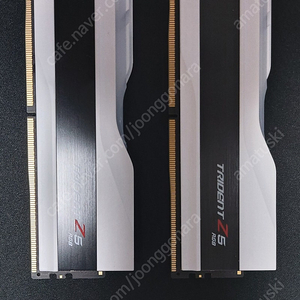 G.SKILL DDR5-6400 CL32 TRIDENT Z5 RGB 화이트 패키지 (64GB(32Gx2))