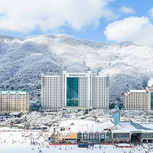 (1월28일/29일) 비발디파크 가실분!!