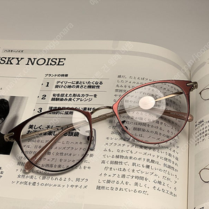 허스키 노이즈 HUSKY NOISE 일본 명품 티타늄 안경 0060