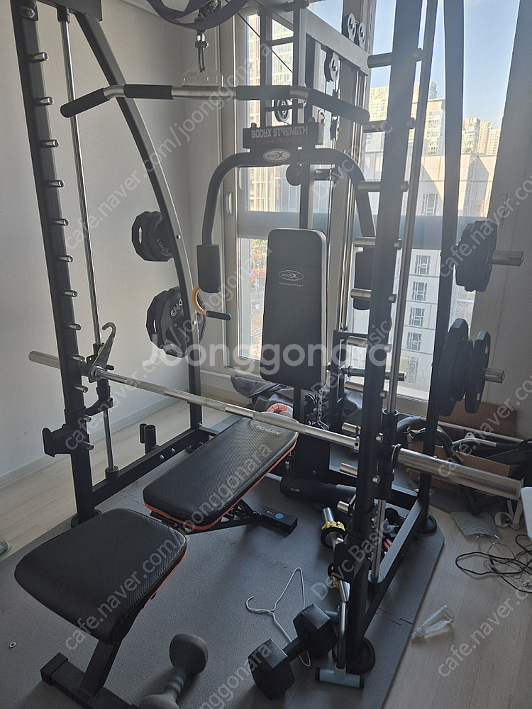 홈짐 바디엑스 BK3010+ 매트 원판 판매합니다.--0