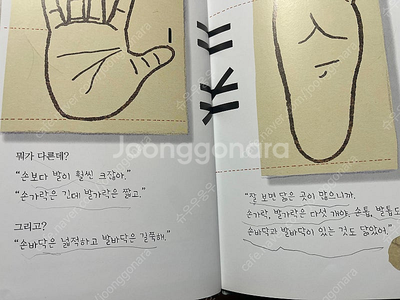 웅진북클럽 원리가 보이는 과학 44권 판매--2