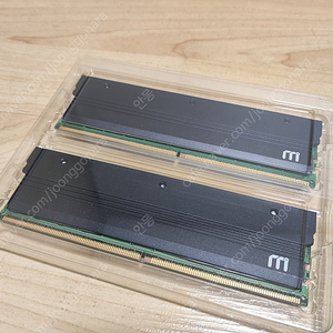 하이닉스 A다이 시금치 DDR5 램 16GB 2개 (방열판 포함)