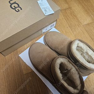 미국 어그 UGG 울트라미니 230 체스트넛