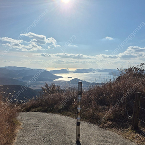 삼성 갤럭시북3울트라4050 판매