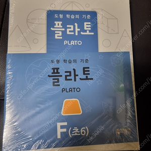 플라토f단계