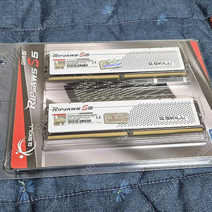 지스킬 ddr5 64g 6000 cl30 (32*2)