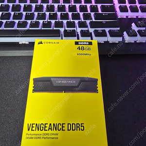 커세어 벤젠스 ddr5 48gb 팝니다