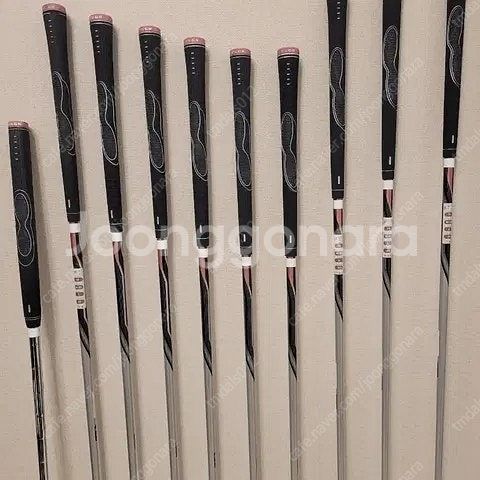 PRGR 민트급 + 여성용 골프채 풀세트--7