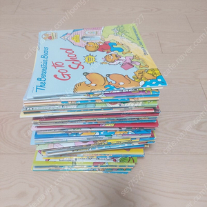 잠수네 베스트 리더스 챕터북/ Berenstain bears/ Treehouse / Horrid henry early reader/ Horrid henry 챕터북