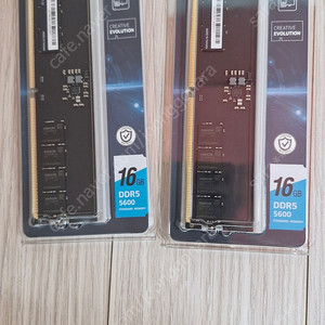 에센코어 DDR5 16G 5600 CL46 2개