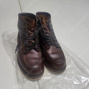 레드윙 1907 7.5D 팝니다